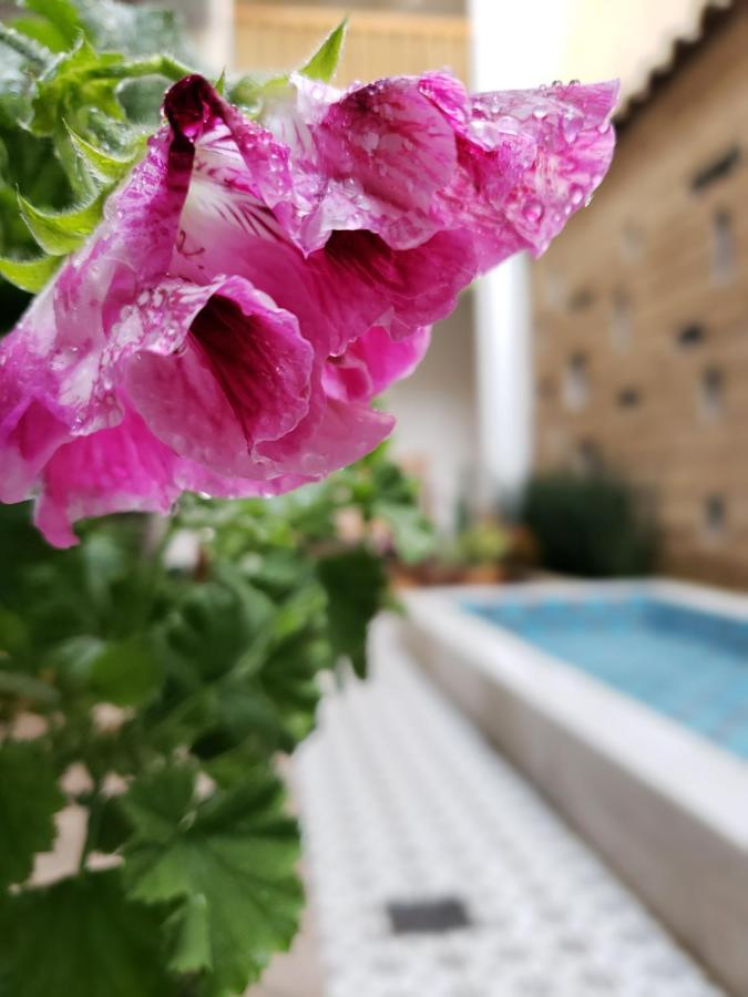 فندق Casa Carmen San Cristóbal de Las Casas المظهر الخارجي الصورة